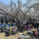 【ヒマリ＆ヒマリohana!お花見】サムネイル